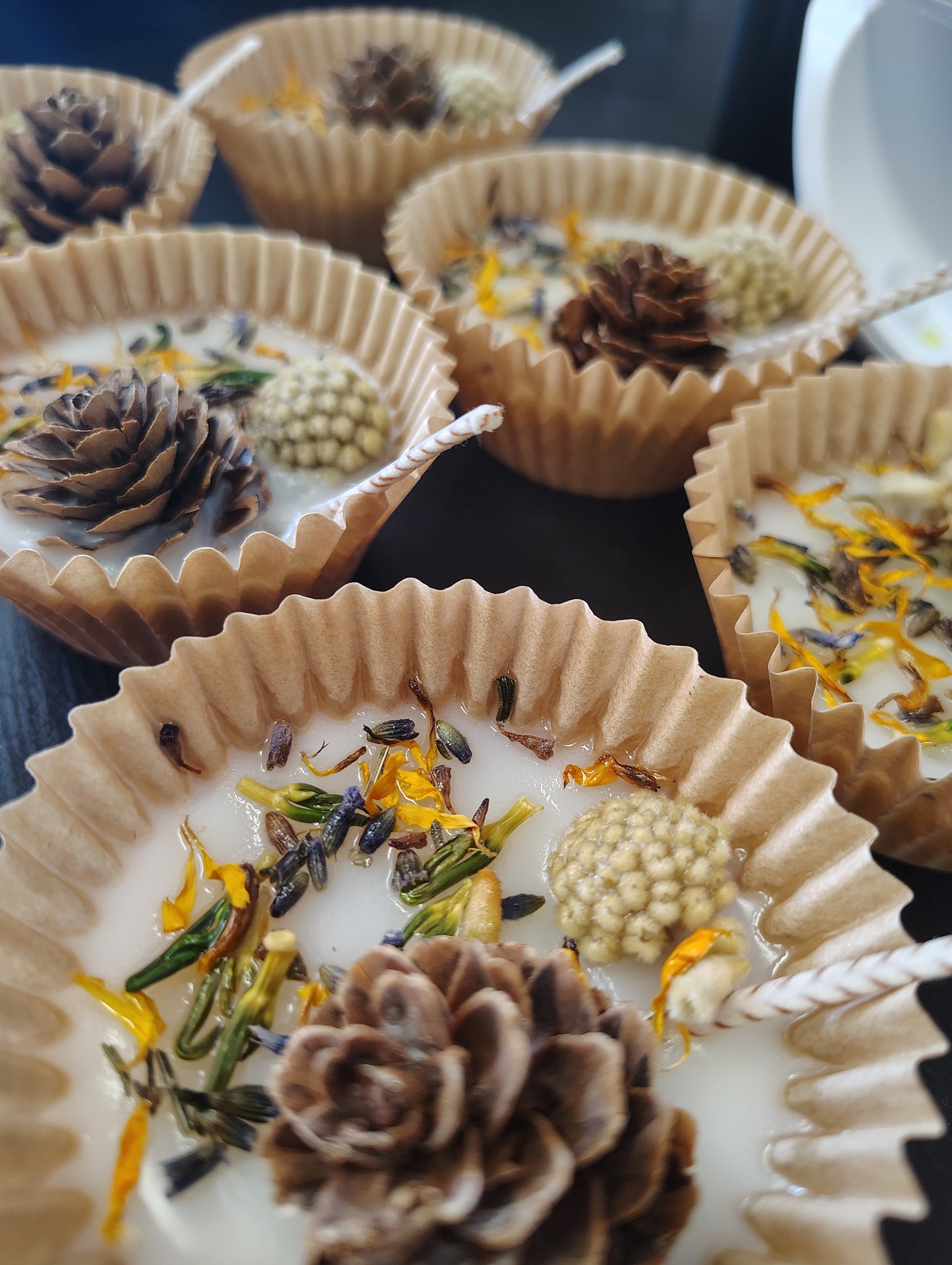 Botanical Fire Starters