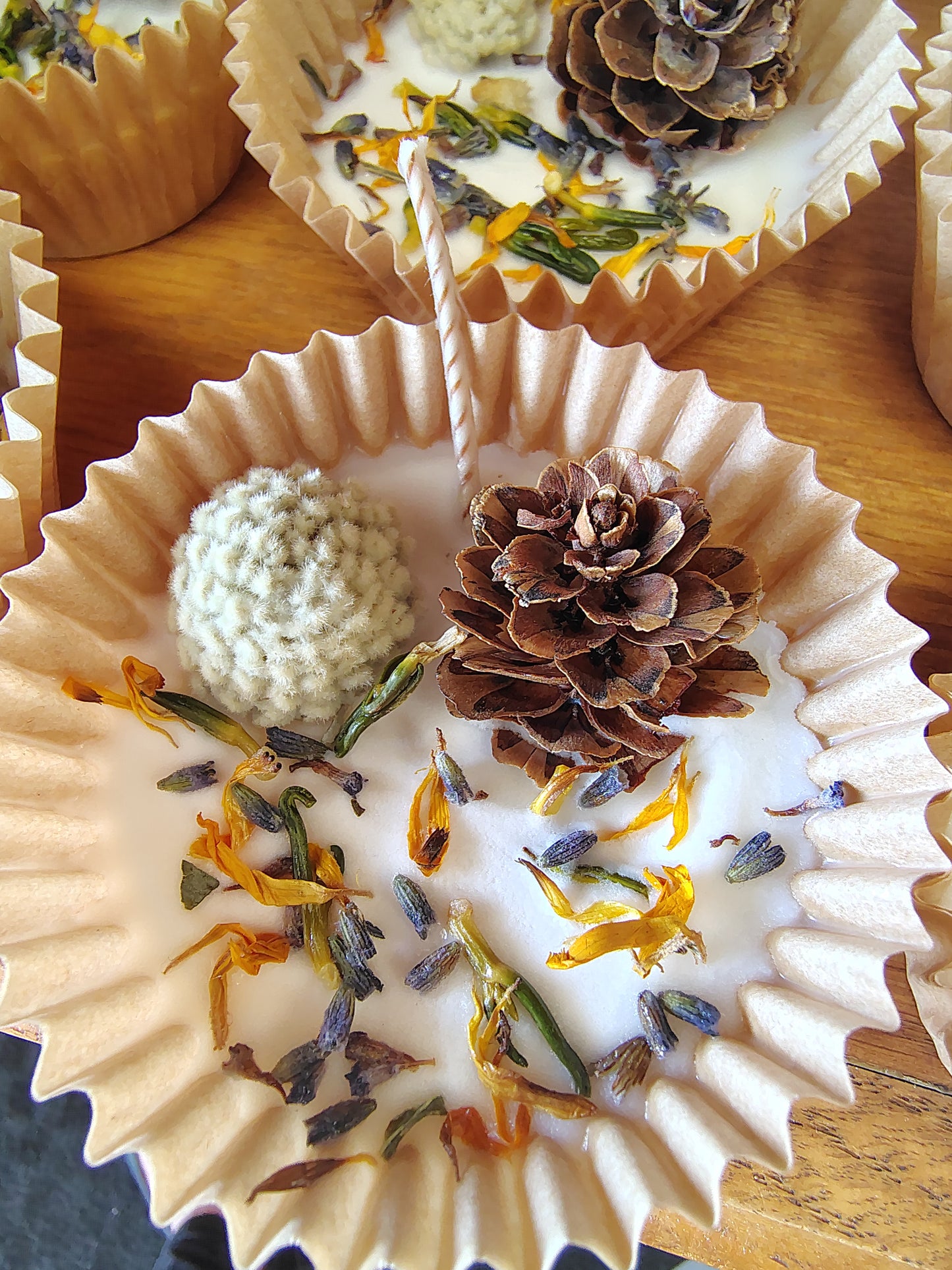 Botanical Fire Starters